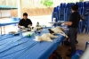 ขอส่งความสุขปีใหม่ ๒๕๖๐ จากใจกระทรวงเกษตรและสหกรณ์